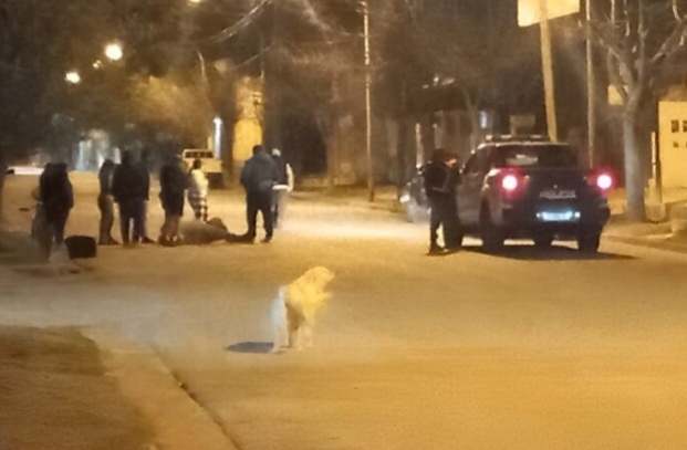 SAN JOSÉ DE LA DORMIDA: UN MOTOCICLISTA RESULTÓ HERIDO TRAS CHOCAR CONTRA UN PERRO