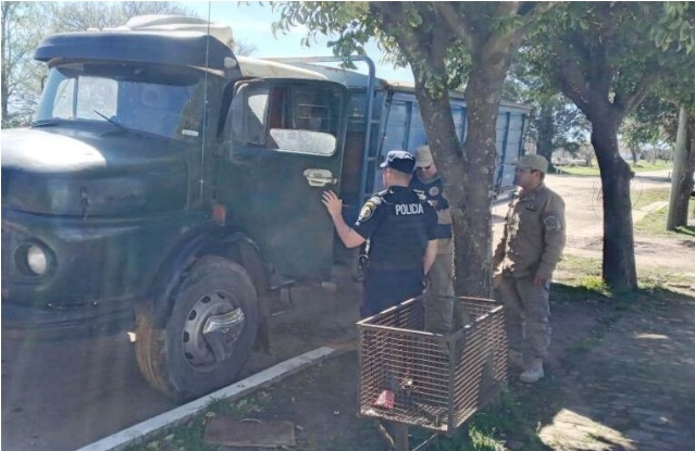 VILLA FONTANA: SECUESTRARON UN CAMIÓN EN EL MARCO DE UNA INVESTIGACIÓN POR ROBO DE CEREAL